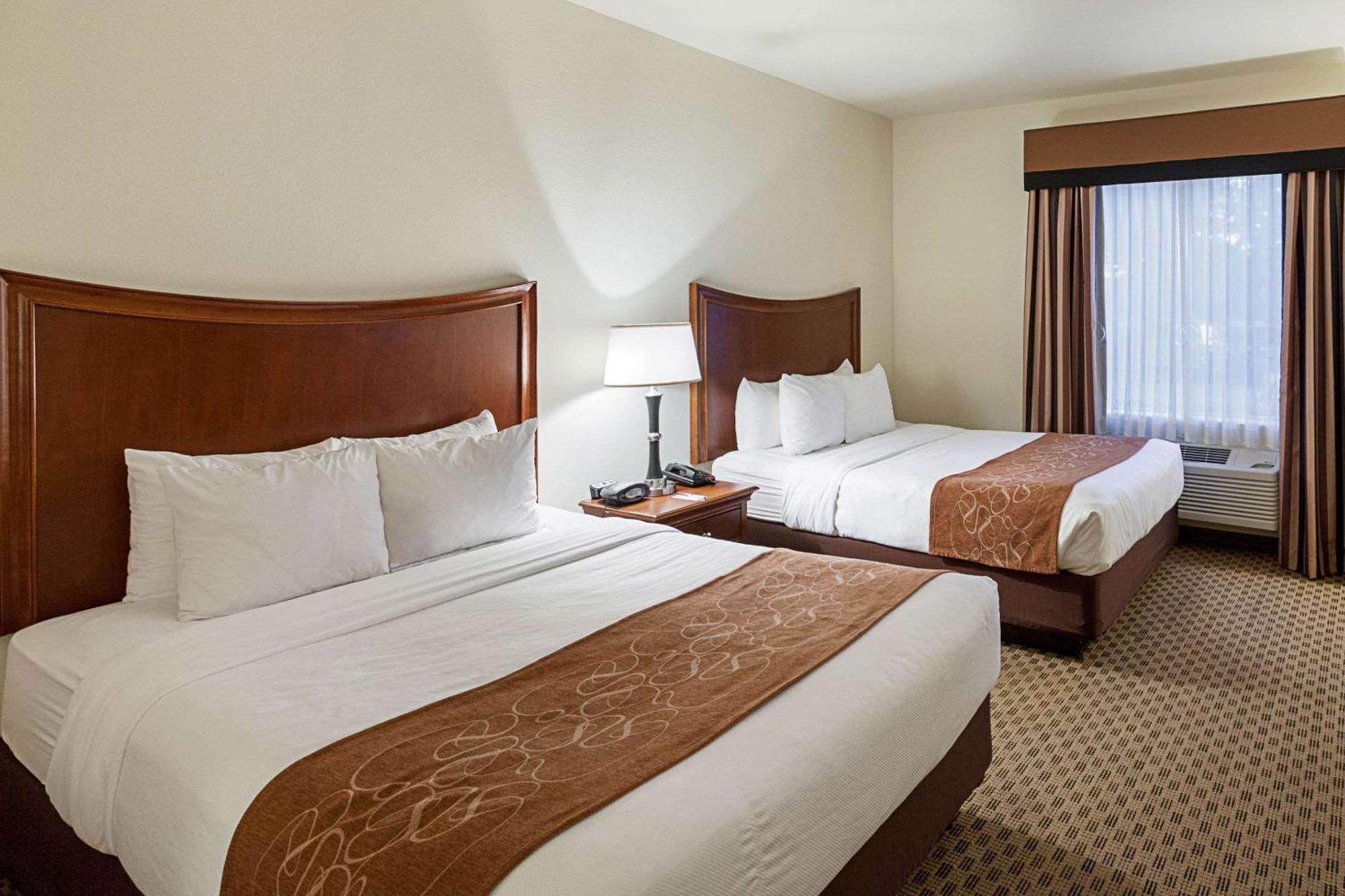 Comfort Suites San Antonio North - Stone Oak Exteriér fotografie