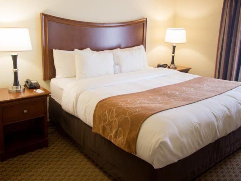 Comfort Suites San Antonio North - Stone Oak Exteriér fotografie